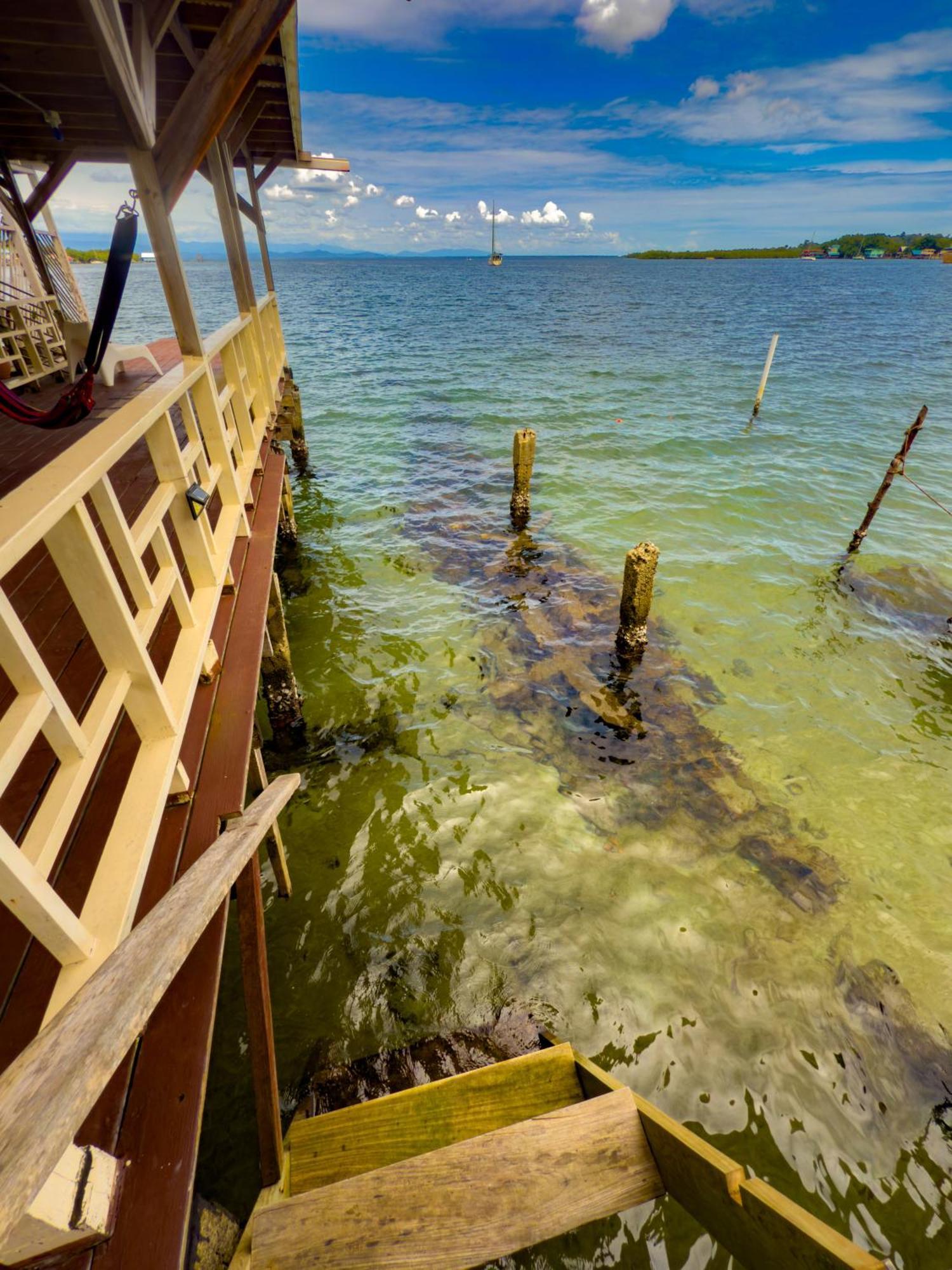 Saigon Bay Bed & Breakfast Bocas Town Bilik gambar